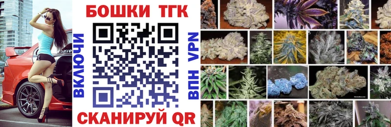 shop наркотические препараты  Ветлуга  Конопля конопля 